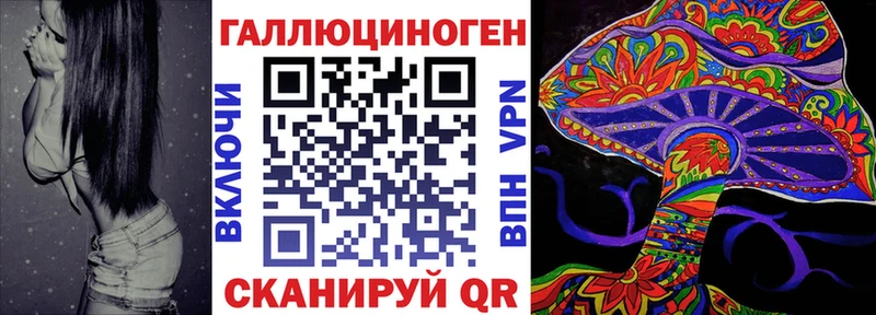 Псилоцибиновые грибы Psilocybe  Купить закладки  Циолковский 